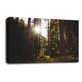 LR Landscape Forest Wall Art Picture Framed Canvas Print | Ready to Hang | Modern Wall Art for Living Room, Bedroom & Office