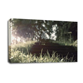 LR Landscape Forest Trees Wall Art Picture Framed Canvas Print | Ready to Hang | Modern Wall Art for Living Room, Bedroom & Office