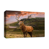 LR Scottish Highland Stag Wall Art Picture – Grey, Teal & Black Framed Canvas Print | Ready to Hang | Modern Wall Art for Living Room, Bedroom & Office