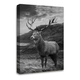 LR Highland Stag Wall Art Picture Framed Canvas Print | Ready to Hang | Modern Wall Art for Living Room, Bedroom & Office