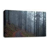 LR Landscape Forest Trees Wall Art Picture Framed Canvas Panel Print Ready to Hang