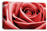 LR Floral Wall Art Print Red Grey Rose Canvas Picture Flower Framed Panel Ready to Hang
