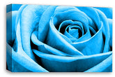 LR Floral Wall Art Print Blue Rose Canvas Picture Flower Framed Panel Ready to Hang
