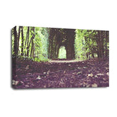 LR Landscape Forest Trees Wall Art Picture Framed Canvas Print | Ready to Hang | Modern Wall Art for Living Room, Bedroom & Office
