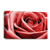 LR Floral Wall Art Picture – Grey & Red Rose Framed Canvas Print | Ready to Hang | Modern Wall Art for Living Room, Bedroom & Office