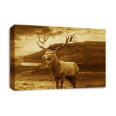 LR Highland Stag Wall Art Picture – Cream & Brown Framed Canvas Print | Ready to Hang | Modern Wall Art for Living Room, Bedroom & Office