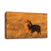 LR African Lion Cat Wall Art Picture – Gold Animal Framed Canvas Print | Ready to Hang | Modern Wall Art for Living Room, Bedroom & Office