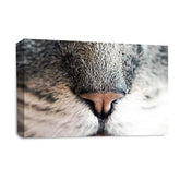 LR Kitten Pussy Cat Wall Art Picture – Animal Framed Canvas Print | Ready to Hang | Modern Wall Art for Living Room, Bedroom & Office