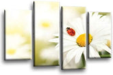LR Floral Wall Art Print Daisy Yellow White Flower Framed Split Panel Canvas Picture Ready to Hang