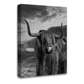 LR Highland Cow Stag Wall Art Picture Framed Canvas Print | Ready to Hang | Modern Wall Art for Living Room, Bedroom & Office