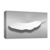 LR Abstract Feather Wall Art Picture – Grey & White Modern Framed Canvas Print | Ready to Hang | Modern Wall Art for Living Room, Bedroom & Office