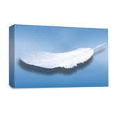 LR Abstract Feather Wall Art Picture – Blue & White Modern Framed Canvas Print | Ready to Hang | Modern Wall Art for Living Room, Bedroom & Office