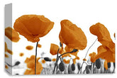 LR Floral Poppy Rose Wall Art Picture Orange White Landscape Flower Picture Framed Print Ready to Hang