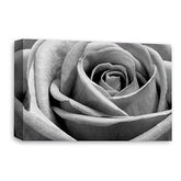 LR Floral Rose Wall Art Picture – Grey Framed Canvas Print | Ready to Hang | Modern Wall Art for Living Room, Bedroom & Office