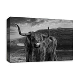 LR Highland Stag Cow Wall Art Picture – Black & White Framed Canvas Print | Ready to Hang | Modern Wall Art for Living Room, Bedroom & Office