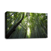 LR Forest Wall Art Picture – Landscape Framed Canvas Print | Ready to Hang | Modern Wall Art for Living Room, Bedroom & Office