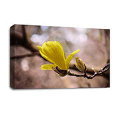 LR Floral Wall Art Picture – Grey, Yellow & White Framed Canvas Print | Ready to Hang | Modern Wall Art for Living Room, Bedroom & Office
