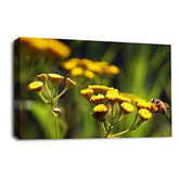 LR Floral Wall Art Picture – Yellow, Green & White Daisy Framed Canvas Print | Ready to Hang | Modern Wall Art for Living Room, Bedroom & Office