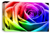 LR Floral Wall Art Print Rainbow Rose Canvas Picture Flower Framed Panel Ready to Hang