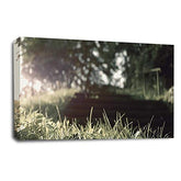 LR Landscape Forest Trees Wall Art Picture Framed Canvas Panel Print Ready to Hang