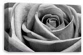 LR Floral Rose Wall Art Grey Canvas Picture Print Flower Framed Panel Ready to Hang