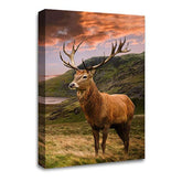 LR Large Highland Stag Wall Art Picture Framed Canvas Print | Ready to Hang | Modern Wall Art for Living Room, Bedroom & Office