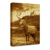 LR Highland Stag Wall Art Picture – Brown Framed Canvas Print | Ready to Hang | Modern Wall Art for Living Room, Bedroom & Office