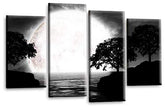 LR Landscape Canvas Art Picture Black White Grey Big Moon Lake Floral Home Split Panel Print