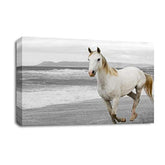 LR White Horse Running Wall Art Picture – Animal Framed Canvas Print | Ready to Hang | Modern Wall Art for Living Room, Bedroom & Office