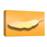 LR Abstract Feather Wall Art Picture – Orange & White Modern Framed Canvas Print | Ready to Hang | Modern Wall Art for Living Room, Bedroom & Office