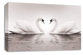 Framed Love Heart Swans Wall Art Picture Grey White Kissing Canvas Family Home Panel Print Ready to Hang