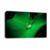 LR Floral Rain Forest Wall Art Picture – Green & White Framed Canvas Print | Ready to Hang | Modern Wall Art for Living Room, Bedroom & Office
