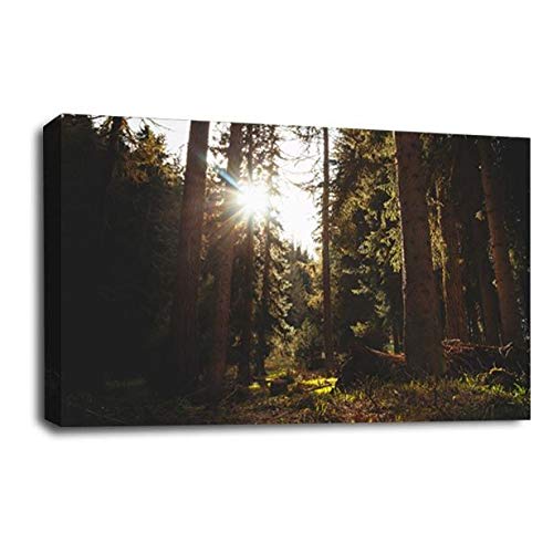 LR Landscape Forest Wall Art Picture Framed Canvas Print | Ready to Hang | Modern Wall Art for Living Room, Bedroom & Office