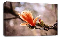 LR Floral Orange Rose Wall Art Picture – Grey & White Framed Canvas Print | Ready to Hang | Modern Wall Art for Living Room, Bedroom & Office