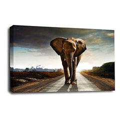 LR African Elephant Wall Art Picture Animal Jungle Framed Canvas Panel Print Ready to Hang