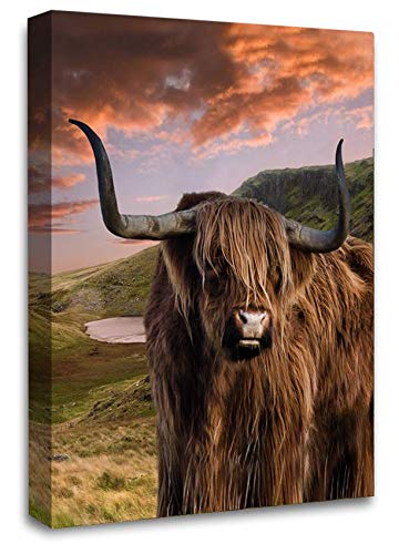 LR Large Highland Cattle Stag Canvas Art Picture Scottish Animal Cow Framed Wall Panel Print