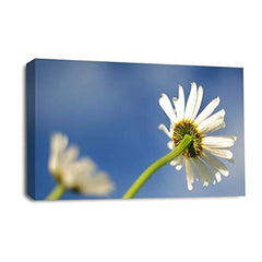 LR Floral Flower Daisy Wall Art Picture – Yellow & White Poppy Framed Canvas Print | Ready to Hang | Modern Wall Art for Living Room, Bedroom & Office