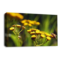 LR Floral Wall Art Picture – Yellow, Green & White Daisy Framed Canvas Print | Ready to Hang | Modern Wall Art for Living Room, Bedroom & Office