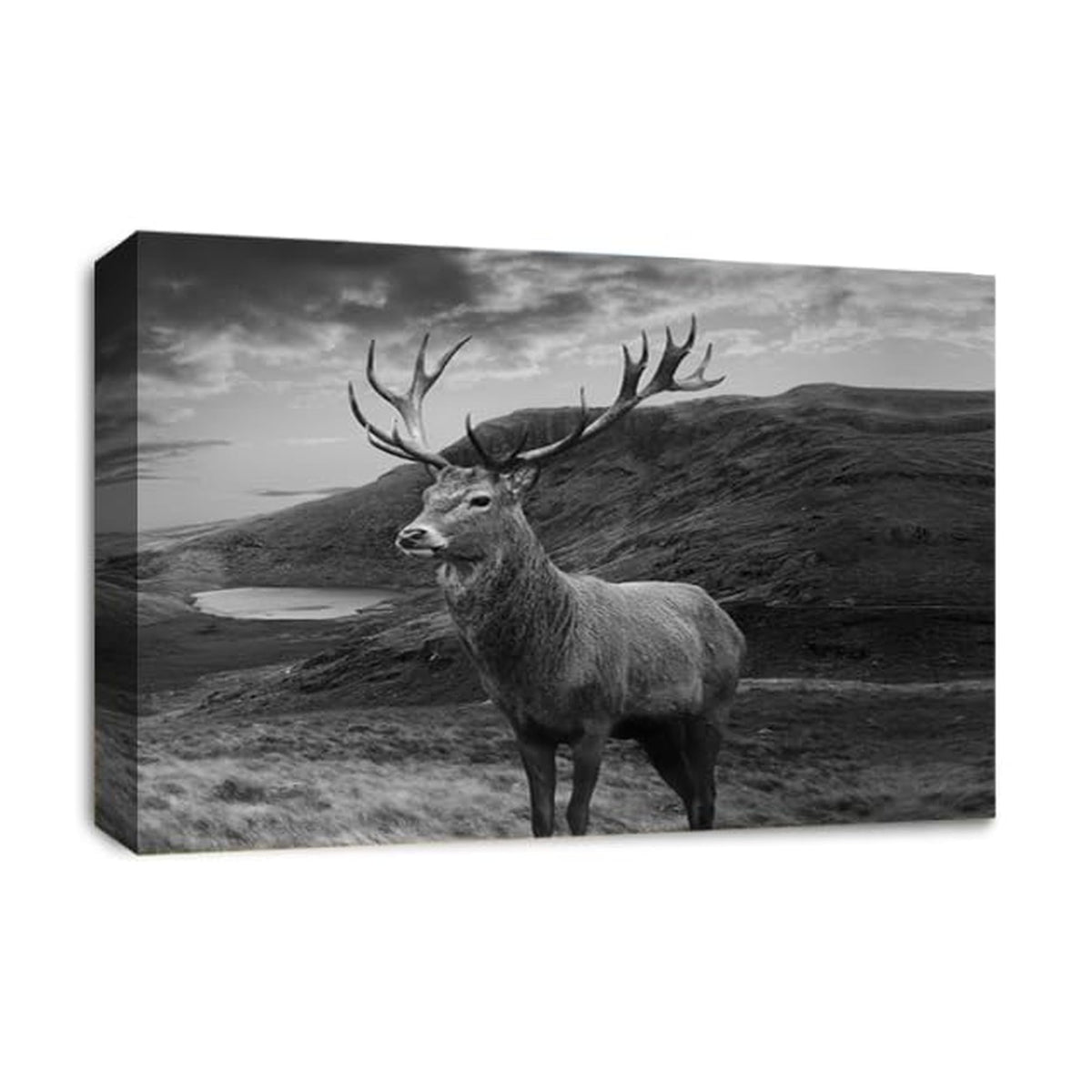 LR Highland Stag Wall Art Picture Framed Canvas Print | Ready to Hang | Modern Wall Art for Living Room, Bedroom & Office