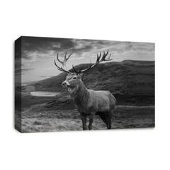 LR Highland Stag Wall Art Picture Framed Canvas Print | Ready to Hang | Modern Wall Art for Living Room, Bedroom & Office