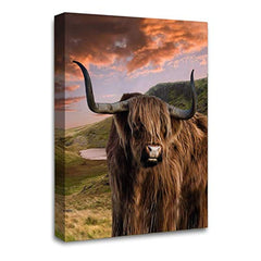 LR Large Highland Cattle Stag Wall Art Picture Framed Canvas Print | Ready to Hang | Modern Wall Art for Living Room, Bedroom & Office