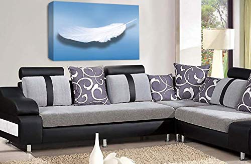 LR Abstract Feather Wall Art Picture Blue White Dream Love Framed Panel Print Ready to Hang