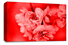 LR Floral Wall Art Print Red White Rose Spring Blossom Flower Framed Picture Ready to Hang