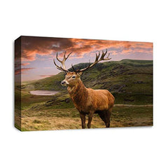 LR Scottish Highland Stag Wall Art Picture – Grey, Teal & Black Framed Canvas Print | Ready to Hang | Modern Wall Art for Living Room, Bedroom & Office