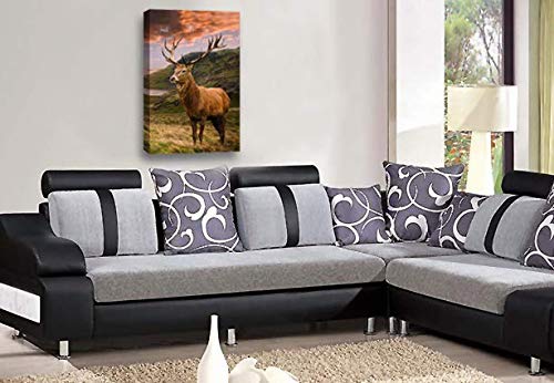 LR Large Highland Stag Canvas Wall Art Picture Scottish Animal Deer Framed Panel Print Ready to Hang