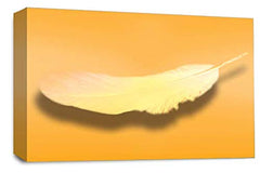 LR Abstract Feather Wall Art Picture Orange White Dream Love Framed Panel Print Ready to Hang