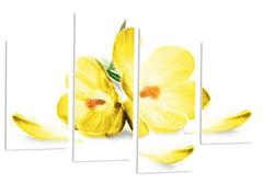 LR Floral Rose Orchid Wall Art Picture Yellow White Flower Framed Canvas Split Print Ready to Hang
