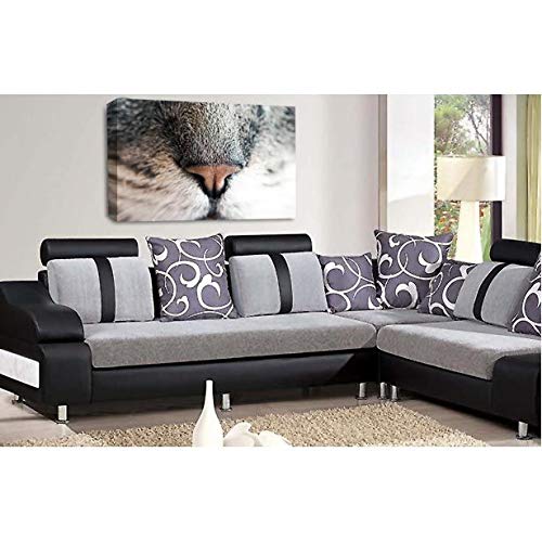 LR Kitten Pussy Cat Wall Art Picture Cute Animal Nose Framed Canvas Panel Print Ready to Hang
