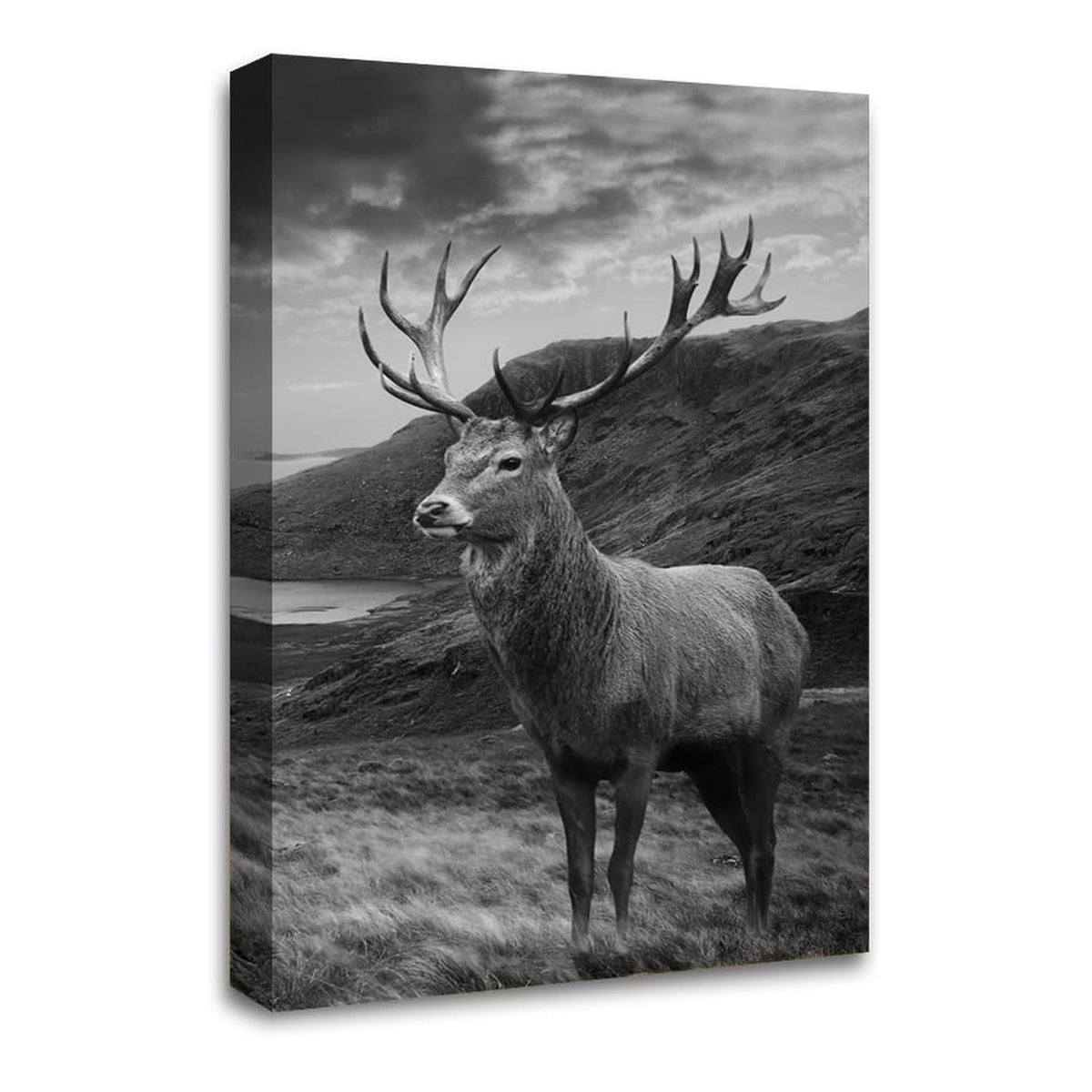 LR Highland Stag Wall Art Picture Framed Canvas Print | Ready to Hang | Modern Wall Art for Living Room, Bedroom & Office