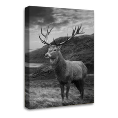 LR Highland Stag Wall Art Picture Framed Canvas Print | Ready to Hang | Modern Wall Art for Living Room, Bedroom & Office